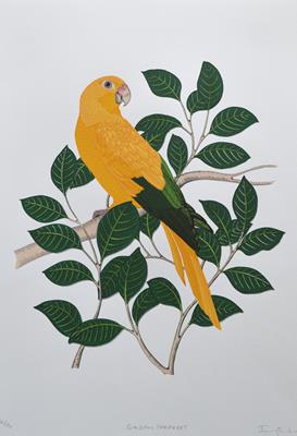 Golden Parakeet by Fanny Shorter