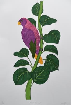 Pohnpei Lorikeet by Fanny Shorter