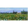 Poppies & Wildflowers, Apt, Provence by Marcel Gatteaux