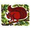 Nut Squirrel by Linda Farquharson