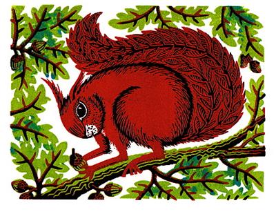 Nut Squirrel by Linda Farquharson