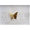 The Lepidopterist by Joseph Silcott