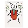 Scarlet Malachite Beetle by Beatrice Forshall