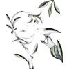 Bali Myna & Black-winged Starling by Beatrice Forshall