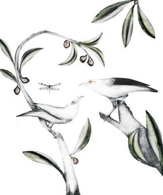 Bali Myna & Black-winged Starling by Beatrice Forshall