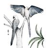 Hyacinth Macaws by Beatrice Forshall