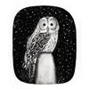 Tawny Owl by Beatrice Forshall