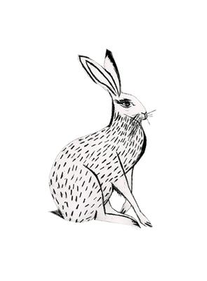 Hare I by Beatrice Forshall