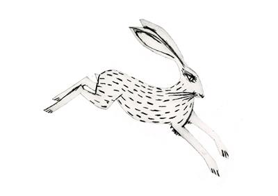 Hare II by Beatrice Forshall