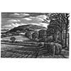 Hambledon Hill In Winter by Howard Phipps