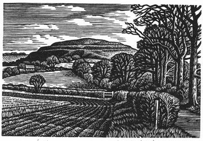 Hambledon Hill In Winter by Howard Phipps