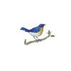 Blue Flycatcher by Fanny Shorter