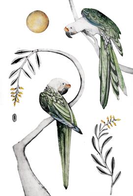 Great Green Macaws by Beatrice Forshall