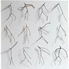 Twelve Twigs by Chris Kenny