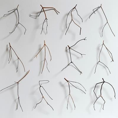 Twelve Twigs by Chris Kenny
