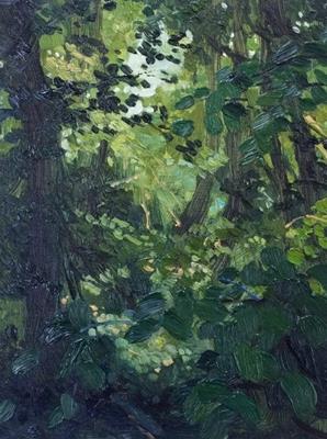 Summer Woodland - Dallinghoo V by Jelly Green