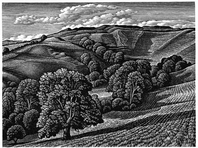 Eggardon Hill by Howard Phipps