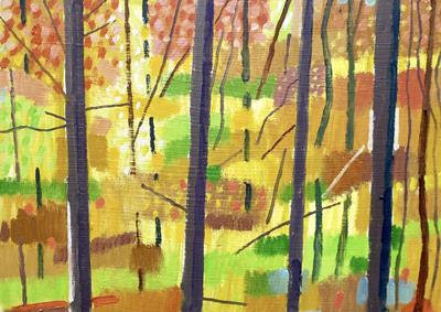 Wytham Woods: Autumn Colour by Andrew Walton
