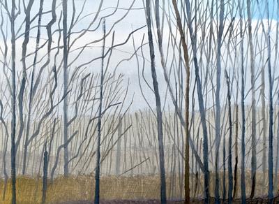Wytham Woods: Winter Trees by Andrew Walton