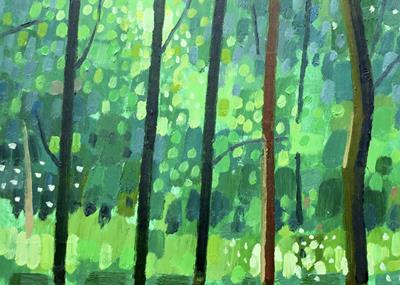 Wytham Woods: Beech Grove by Andrew Walton