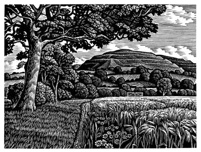 Hambledon Hill In Summer by Howard Phipps