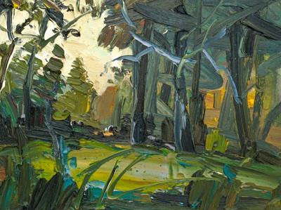 A Clearing, Evening Sun by Robert Newton