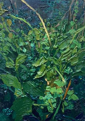 Hedgerow, Walpole II by Jelly Green