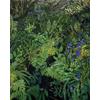 Bluebells At Treshnish by Jelly Green
