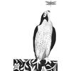 Amur Falcon by Beatrice Forshall