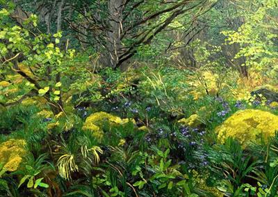 Golden Moss - Ulva V by Jelly Green