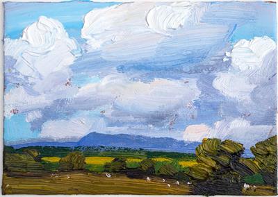 Cotton Wool Clouds At Cambo by Robert Newton