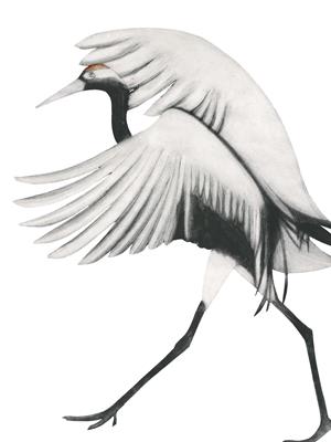 Red-crowned Crane by Beatrice Forshall