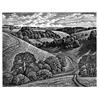 Chalk Paths, Malacombe Bottom by Howard Phipps