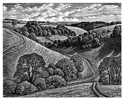 Chalk Paths, Malacombe Bottom by Howard Phipps