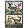 Tarot Of British Birds: The Chariot by David Hollington
