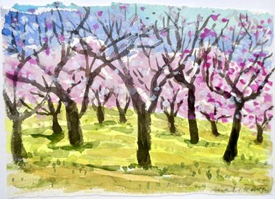 A Field Of Almonds by Annabel Keatley