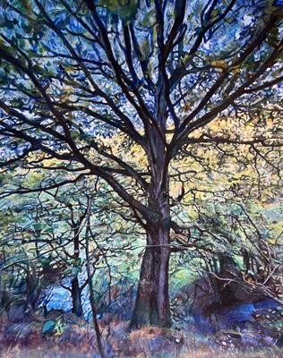 Oak Tree By A Stream by Sarah Harding