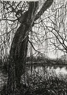 Exe By Trews Weir by Sally Loughridge