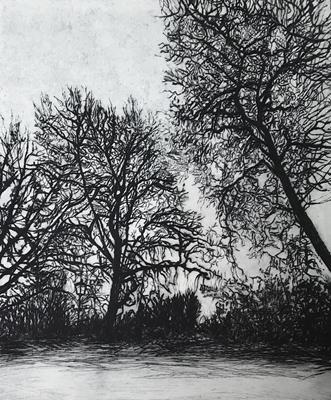 Leaning Trees by Sally Loughridge