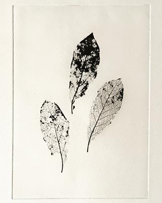 Leaf Print I by Sally Loughridge