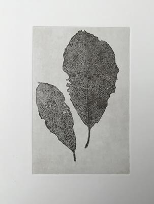 Leaf Print II by Sally Loughridge