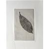 Leaf Print III by Sally Loughridge