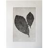 Leaf Print IV by Sally Loughridge