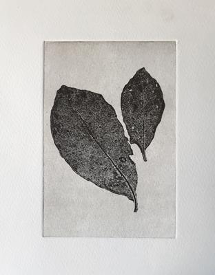 Leaf Print IV by Sally Loughridge
