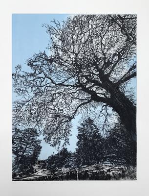 Under The Ancient Tree by Sally Loughridge