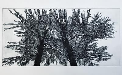 Making Connections by Sally Loughridge