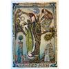 Tarot Of British Birds: Hanged Man by David Hollington