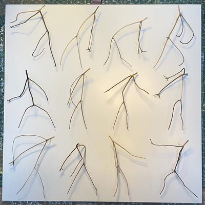 Bacchanale, Twelve Twigs by Chris Kenny