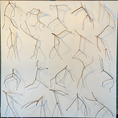 Bacchanale, Twenty Twigs by Chris Kenny