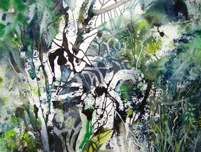 Woodland Near St Davids by David Wiseman